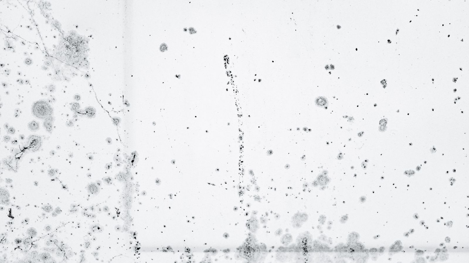 Schimmelbefall an einer Zimmerwand